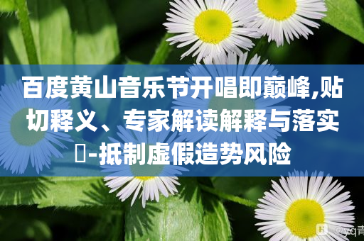 百度黃山音樂節(jié)開唱即巔峰,貼切釋義、專家解讀解釋與落實?-抵制虛假造勢風(fēng)險