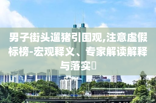 男子街頭遛豬引圍觀,注意虛假標(biāo)榜-宏觀釋義、專家解讀解釋與落實?