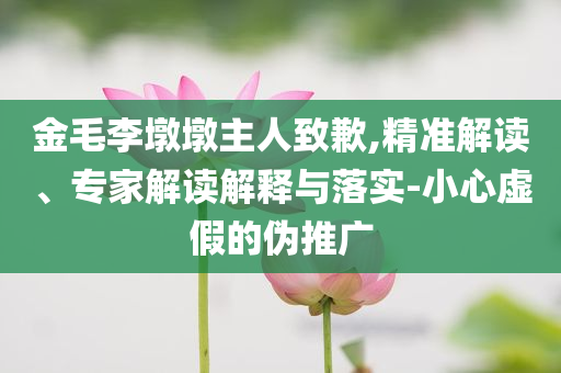 金毛李墩墩主人致歉,精準(zhǔn)解讀、專家解讀解釋與落實(shí)-小心虛假的偽推廣