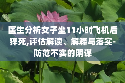 醫(yī)生分析女子坐11小時飛機后猝死,評估解讀、解釋與落實-防范不實的陰謀