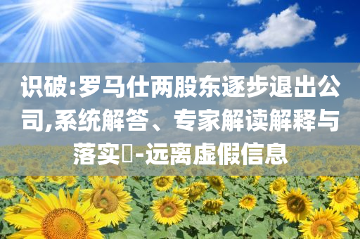 識破:羅馬仕兩股東逐步退出公司,系統(tǒng)解答、專家解讀解釋與落實?-遠(yuǎn)離虛假信息
