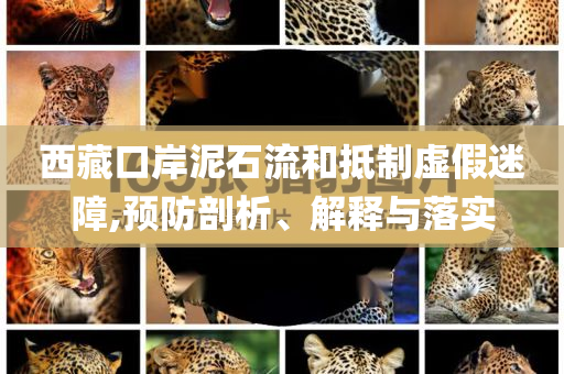 西藏口岸泥石流和抵制虛假迷障,預(yù)防剖析、解釋與落實(shí)