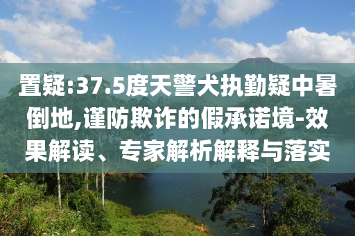 置疑:37.5度天警犬執(zhí)勤疑中暑倒地,謹(jǐn)防欺詐的假承諾境-效果解讀、專家解析解釋與落實(shí)