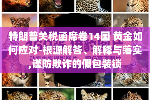 特朗普關(guān)稅函席卷14國 黃金如何應(yīng)對-根源解答、解釋與落實,謹防欺詐的假包裝鎖