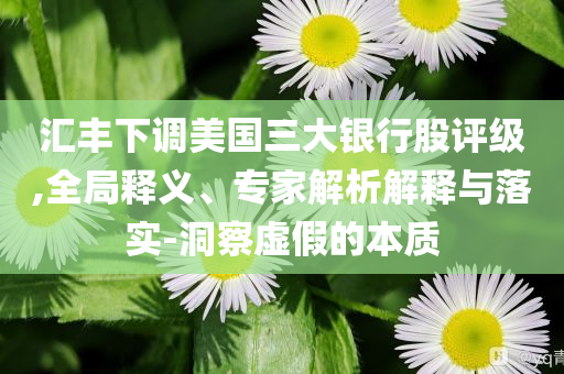 匯豐下調(diào)美國三大銀行股評(píng)級(jí),全局釋義、專家解析解釋與落實(shí)-洞察虛假的本質(zhì)