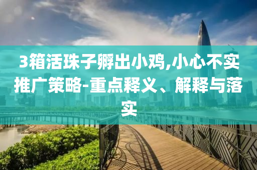 3箱活珠子孵出小雞,小心不實(shí)推廣策略-重點(diǎn)釋義、解釋與落實(shí)