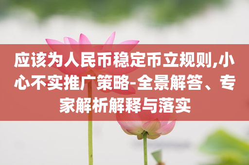 應(yīng)該為人民幣穩(wěn)定幣立規(guī)則,小心不實推廣策略-全景解答、專家解析解釋與落實
