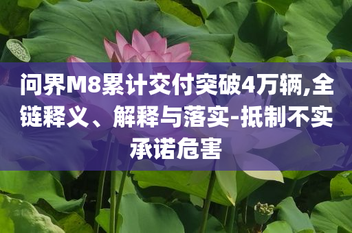 問界M8累計交付突破4萬輛,全鏈釋義、解釋與落實-抵制不實承諾危害