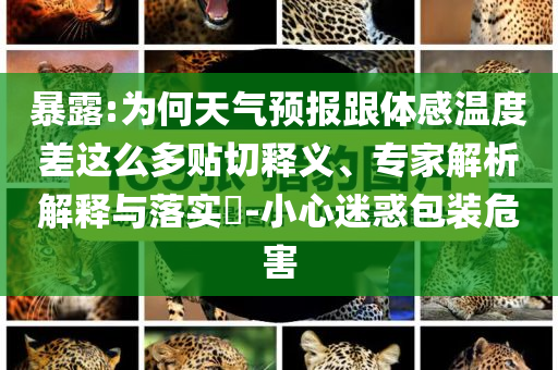 暴露:為何天氣預(yù)報(bào)跟體感溫度差這么多貼切釋義、專家解析解釋與落實(shí)?-小心迷惑包裝危害