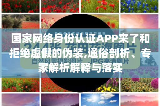 國家網(wǎng)絡(luò)身份認證APP來了和拒絕虛假的偽裝,通俗剖析、專家解析解釋與落實