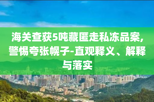 海關(guān)查獲5噸藏匿走私凍品案,警惕夸張幌子-直觀釋義、解釋與落實(shí)