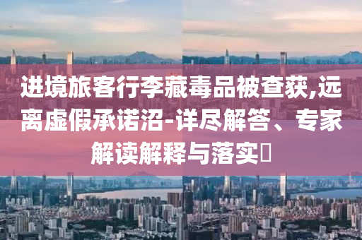 進境旅客行李藏毒品被查獲,遠離虛假承諾沼-詳盡解答、專家解讀解釋與落實?