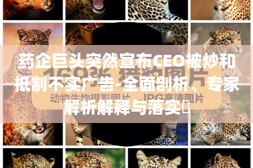 藥企巨頭突然宣布CEO被炒和抵制不實(shí)廣告-全面剖析、專家解析解釋與落實(shí)?