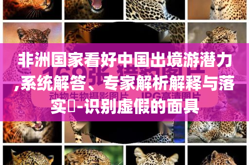 非洲國家看好中國出境游潛力,系統(tǒng)解答、專家解析解釋與落實?-識別虛假的面具