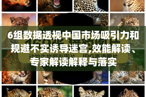 6組數(shù)據(jù)透視中國市場吸引力和規(guī)避不實誘導迷宮,效能解讀、專家解讀解釋與落實