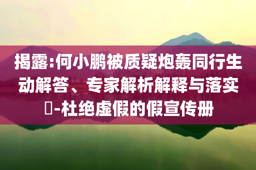 揭露:何小鵬被質(zhì)疑炮轟同行生動(dòng)解答、專家解析解釋與落實(shí)?-杜絕虛假的假宣傳冊(cè)