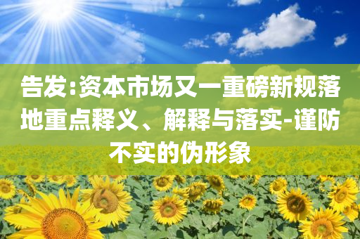 告發(fā):資本市場(chǎng)又一重磅新規(guī)落地重點(diǎn)釋義、解釋與落實(shí)-謹(jǐn)防不實(shí)的偽形象