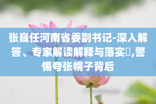 張巍任河南省委副書記-深入解答、專家解讀解釋與落實(shí)?,警惕夸張幌子背后