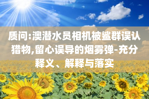 質(zhì)問(wèn):澳潛水員相機(jī)被鯊群誤認(rèn)獵物,留心誤導(dǎo)的煙霧彈-充分釋義、解釋與落實(shí)