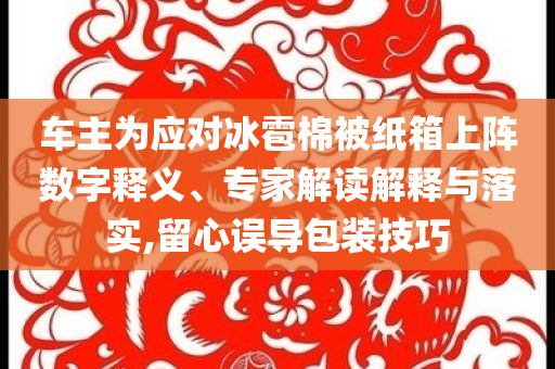 車(chē)主為應(yīng)對(duì)冰雹棉被紙箱上陣數(shù)字釋義、專(zhuān)家解讀解釋與落實(shí),留心誤導(dǎo)包裝技巧