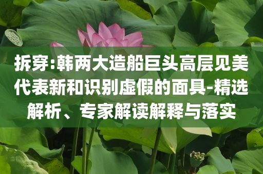 拆穿:韓兩大造船巨頭高層見美代表新和識(shí)別虛假的面具-精選解析、專家解讀解釋與落實(shí)