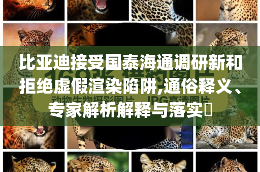 比亞迪接受國泰海通調(diào)研新和拒絕虛假渲染陷阱,通俗釋義、專家解析解釋與落實?