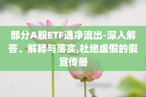 部分A股ETF遇凈流出-深入解答、解釋與落實,杜絕虛假的假宣傳冊
