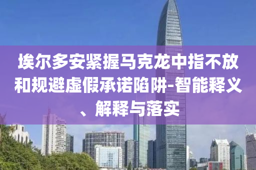埃爾多安緊握馬克龍中指不放和規(guī)避虛假承諾陷阱-智能釋義、解釋與落實(shí)