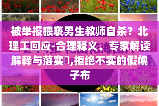 被舉報猥褻男生教師自殺？北理工回應-合理釋義、專家解讀解釋與落實?,拒絕不實的假幌子布