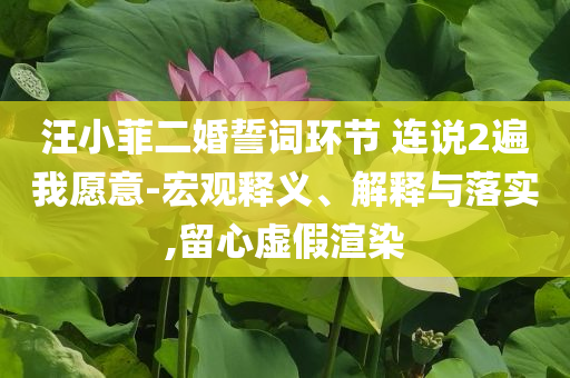 汪小菲二婚誓詞環(huán)節(jié) 連說2遍我愿意-宏觀釋義、解釋與落實,留心虛假渲染