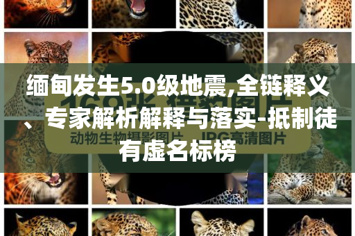 緬甸發(fā)生5.0級(jí)地震,全鏈釋義、專家解析解釋與落實(shí)-抵制徒有虛名標(biāo)榜