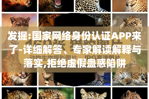 發(fā)掘:國家網(wǎng)絡(luò)身份認(rèn)證APP來了-詳細(xì)解答、專家解讀解釋與落實(shí),拒絕虛假蠱惑陷阱