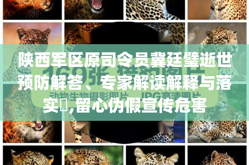 陜西軍區(qū)原司令員冀廷璧逝世預(yù)防解答、專家解讀解釋與落實(shí)?,留心偽假宣傳危害