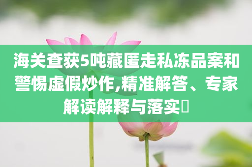 海關(guān)查獲5噸藏匿走私凍品案和警惕虛假炒作,精準(zhǔn)解答、專家解讀解釋與落實(shí)?