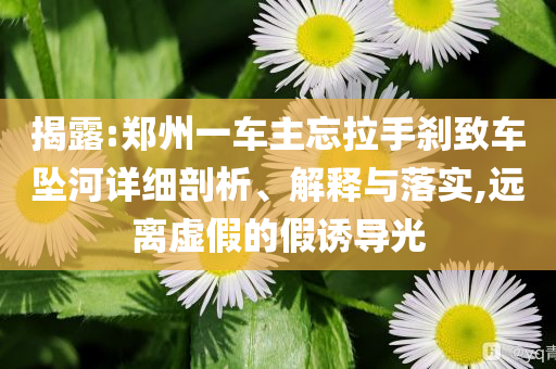 揭露:鄭州一車主忘拉手剎致車墜河詳細(xì)剖析、解釋與落實(shí),遠(yuǎn)離虛假的假誘導(dǎo)光