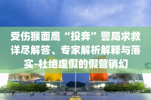受傷猴面鷹“投奔”警局求救詳盡解答、專家解析解釋與落實(shí)-杜絕虛假的假營(yíng)銷幻