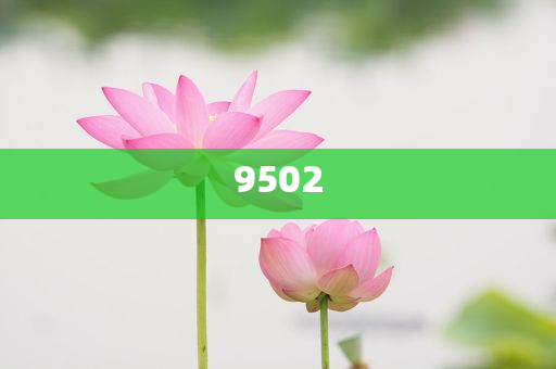 男子節(jié)儉度日騙3270萬轉(zhuǎn)女友改進解答、專家解讀解釋與落實?-拒絕空洞無物承諾