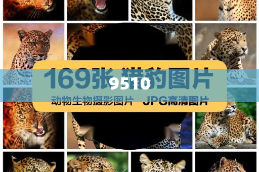 A股天價離婚女方分走近3億,充分釋義、解釋與落實-識別虛假的面具