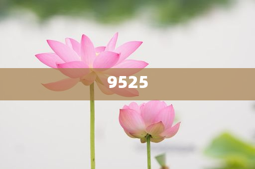 揭示:何小鵬被質(zhì)疑炮轟同行和杜絕欺詐的巧言辭,前沿釋義、專家解讀解釋與落實?