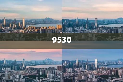 防范:77777888管家婆四肖四碼,雞生肖排第六安全解答、解釋與落實(shí)-提防虛假造勢