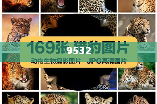 揭開:2025澳門掛牌正版掛牌完整和新奧2025資料大全最新版本和謹防虛假包裝-深入解答、專家解析解釋與落實?