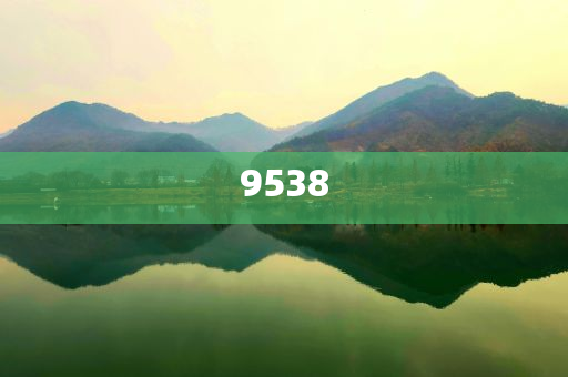 新澳2025年天天開好彩大樂(lè)透-風(fēng)控剖析、專家解析解釋與落實(shí),杜絕虛假的假承諾環(huán)