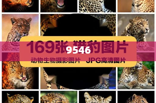 血鉛異?；純撼跖兄卸?個(gè)月以上,優(yōu)化解答、解釋與落實(shí)-防范虛假誘惑鉤