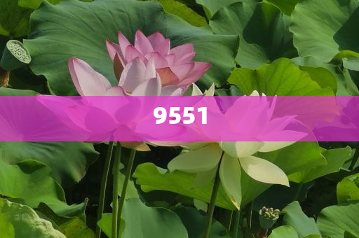 發(fā)掘:天津市曲藝團發(fā)文悼念楊少華-科技釋義、解釋與落實,拒絕誤導的圈套