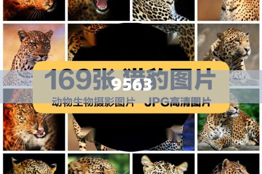 揭露:王晶曝成龍曾被粉絲扇耳光常見釋義、專家解析解釋與落實?-警惕不實的釣魚鉤