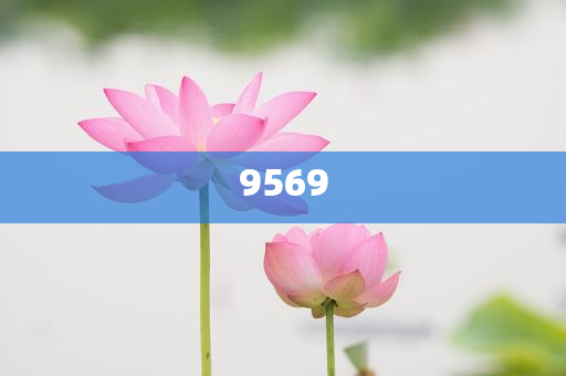 迪士尼鑰匙圈被炒到一個(gè)499元?jiǎng)?chuàng)意解答、專家解讀解釋與落實(shí)?,遠(yuǎn)離誤導(dǎo)的假承諾