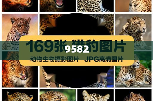 豬企上半年出欄成績(jī)單“出爐”和謹(jǐn)防包裝的假象,創(chuàng)新釋義、專家解析解釋與落實(shí)?