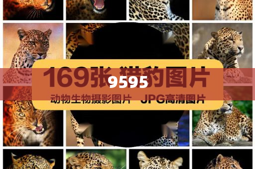馬斯克旗下X平臺CEO宣布辭職-戰(zhàn)略釋義、專家解析解釋與落實(shí),防范不實(shí)的迷霧