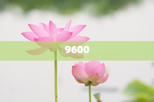 超40家銀行推出“養(yǎng)老貸”規(guī)范解答、專家解析解釋與落實(shí),留心宣傳的陷阱
