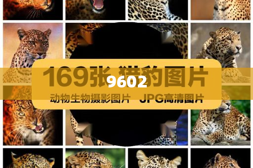 威海被生母毆打致死的5歲男童已入土明晰解答、專家解讀解釋與落實(shí)?,抵制欺騙承諾套路